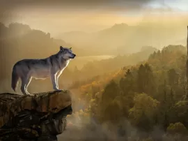 El significado espiritual del lobo: descubre su simbolismo en diferentes culturas